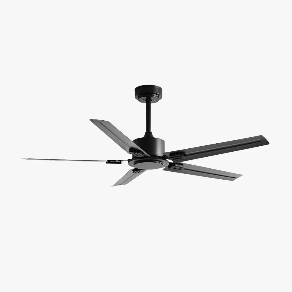 Black Ceiling Fan With Light For Study Room Alessio Metal & Acrylic