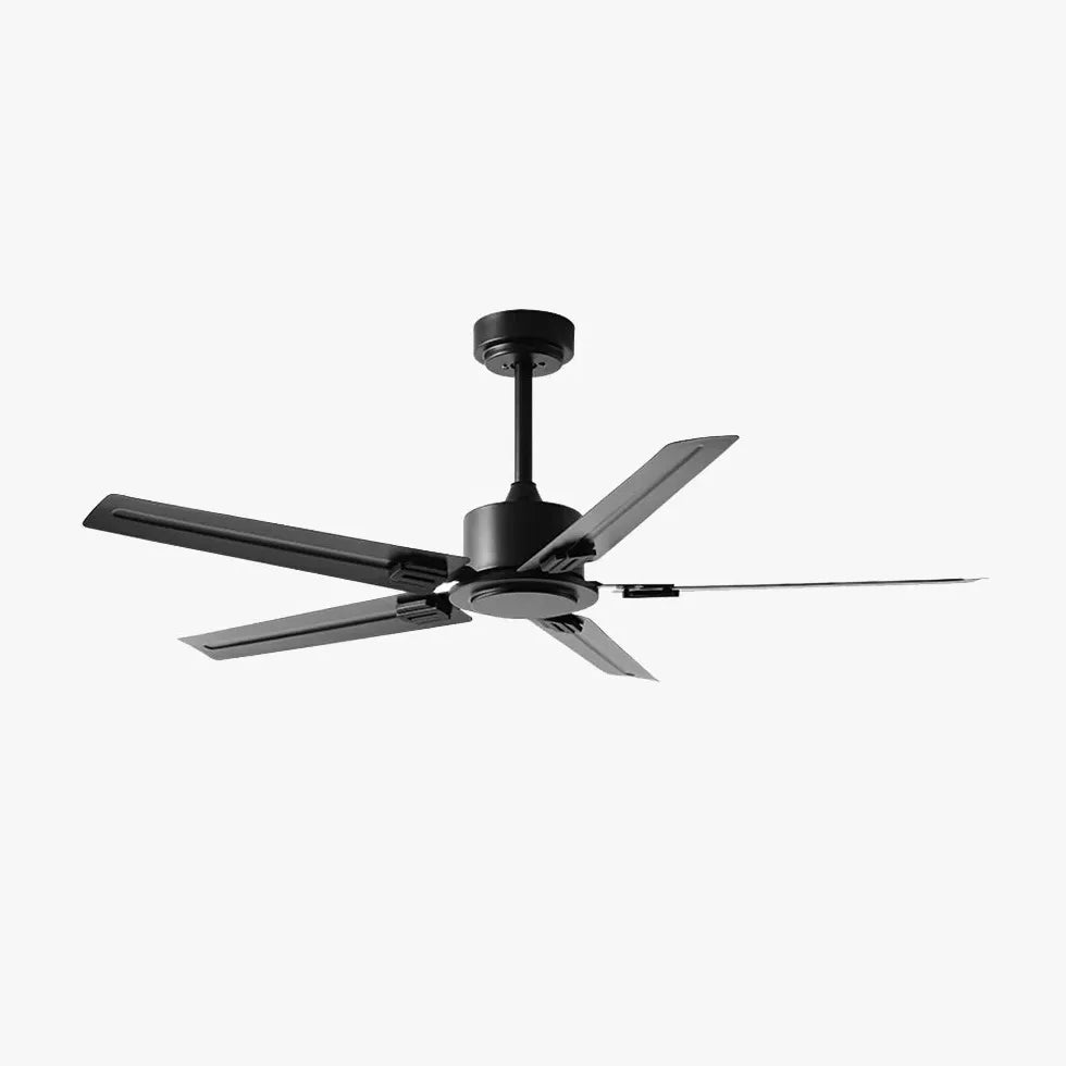 Black Ceiling Fan With Light For Study Room Alessio Metal & Acrylic