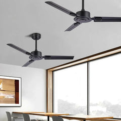 Black Ceiling Fan With Light For Study Room Alessio Metal & Acrylic