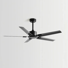 Black Ceiling Fan With Light For Study Room Alessio Metal & Acrylic