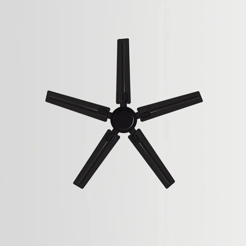 Black Ceiling Fan With Light For Study Room Alessio Metal & Acrylic