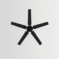 Black Ceiling Fan With Light For Study Room Alessio Metal & Acrylic