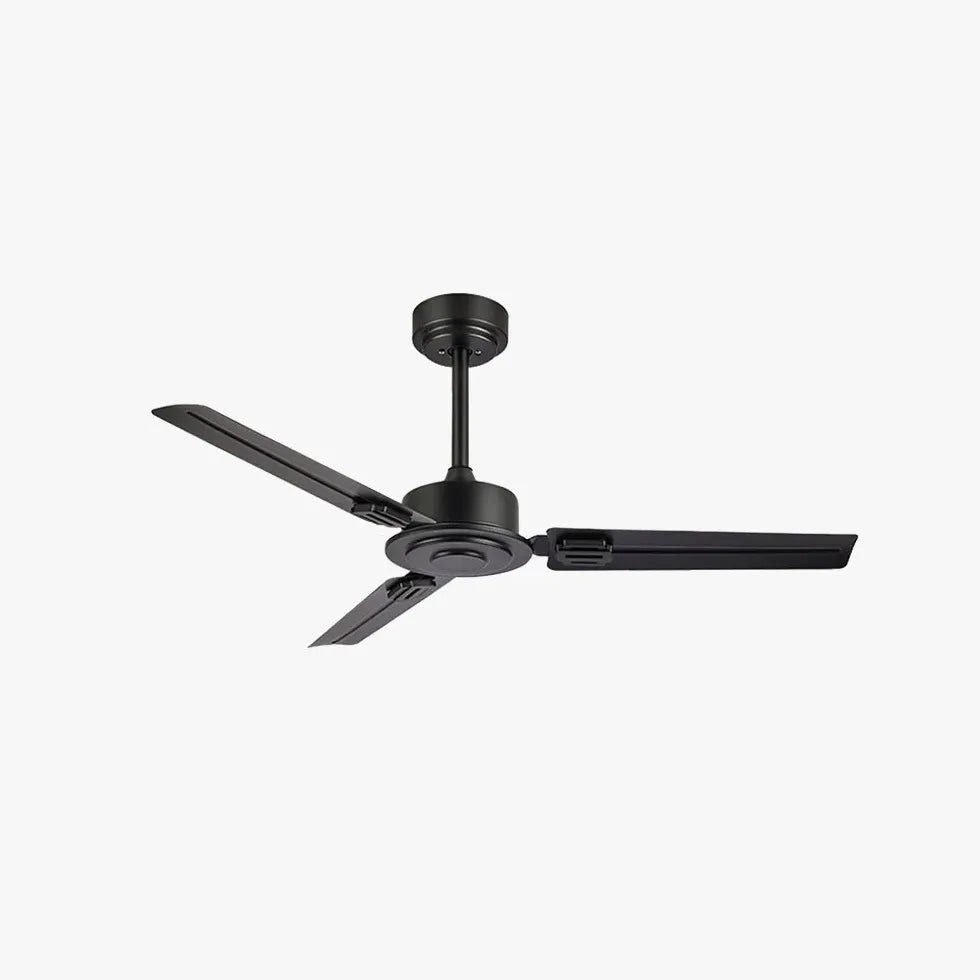 Black Ceiling Fan With Light For Study Room Alessio Metal & Acrylic