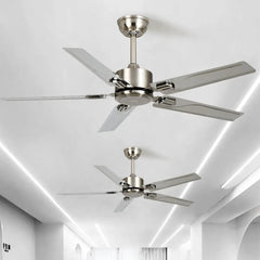 Ceiling Fan With Light For Study Room Alessio Metal Ip20