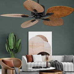 Ceiling Fan With Light For Study Room Bella Metal & Abs