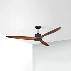 Black Ceiling Fan With Light For Study Room Haydn Metal