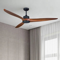 Black Ceiling Fan With Light For Study Room Haydn Metal