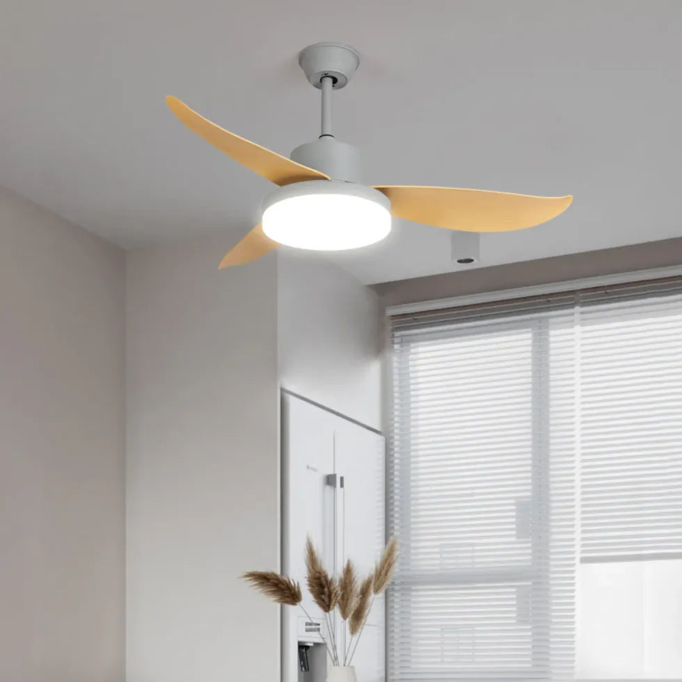 Ceiling Fan With Light For Study Room Haydn Metal Ip20 Led