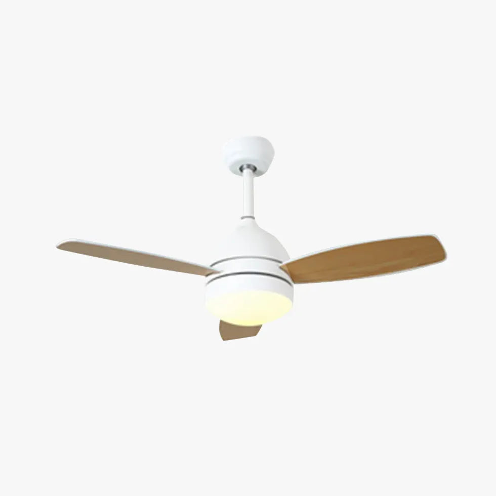 Ceiling Fan With Light For Study Room Haydn Metal Led Dimmable