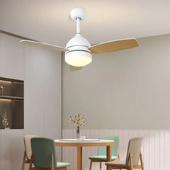 Ceiling Fan With Light For Study Room Haydn Metal Led Dimmable