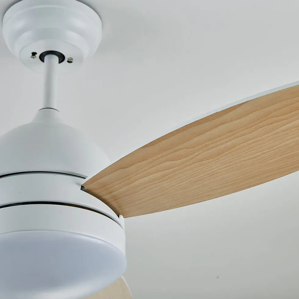 Ceiling Fan With Light For Study Room Haydn Metal Led Dimmable