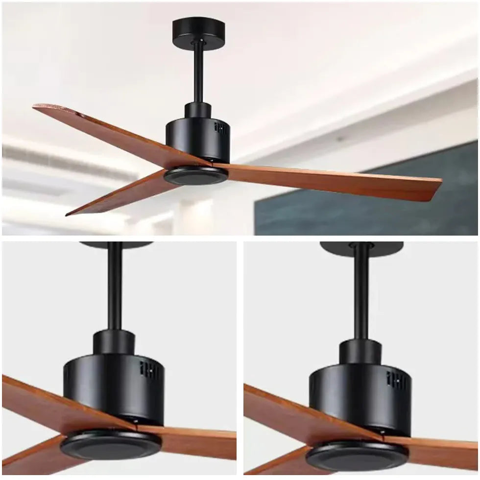 Black Ceiling Fan With Light For Study Room Haydn Metal & Abs