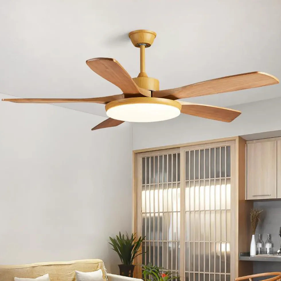 Black Ceiling Fan With Light For Study Room Haydn Metal Dimmable Ip20 Led