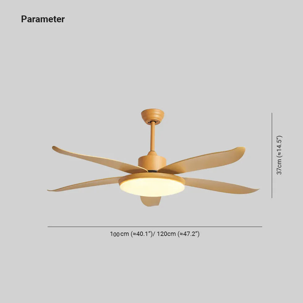 Ceiling Fan With Light For Study Room Haydn Metal & Acrylic Dimmable