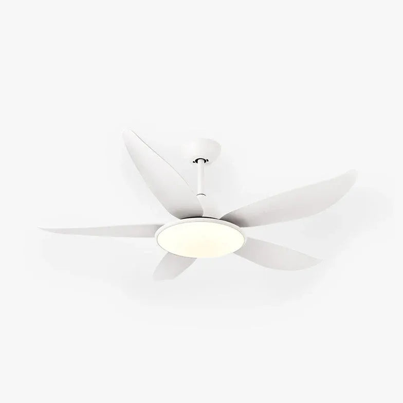 Black Ceiling Fan With Light For Study Room Haydn Metal