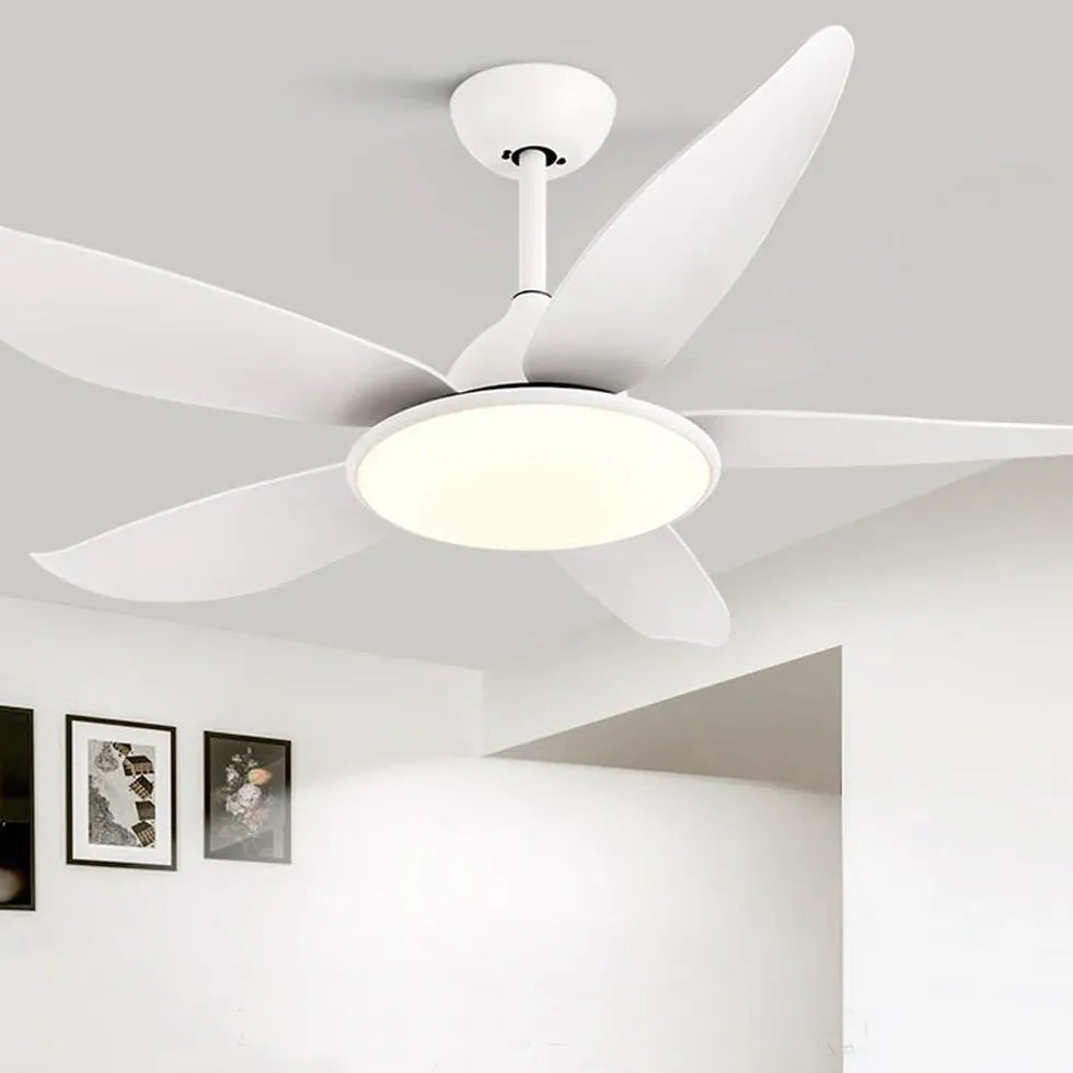 Black Ceiling Fan With Light For Study Room Haydn Metal