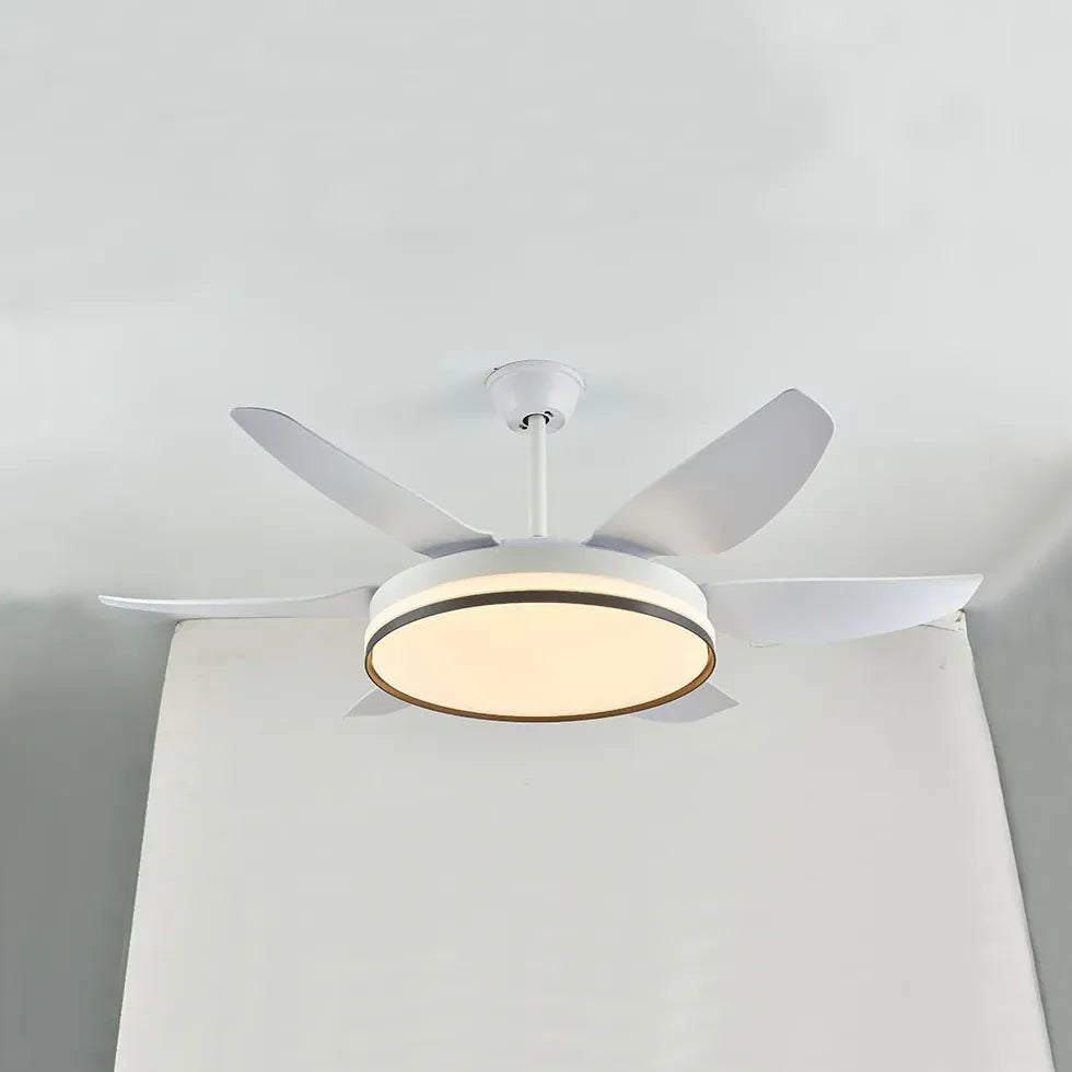 Black Ceiling Fan With Light For Study Room Haydn Metal Dimmable Ip20 Led