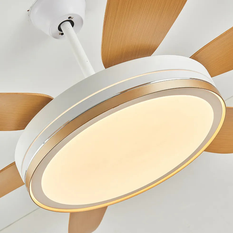 Ceiling Fan With Light For Study Room Haydn Metal & Acrylic Three Colours Change With Remote Ccontrol Ip20