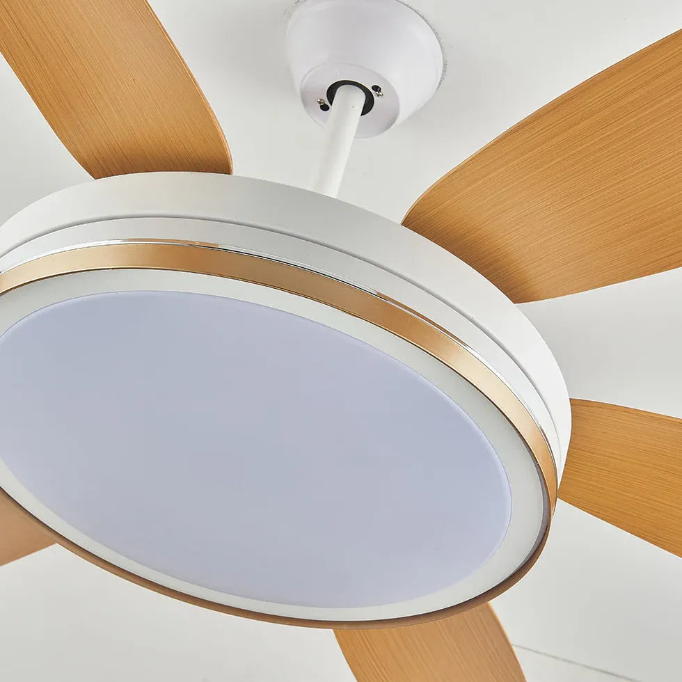 Ceiling Fan With Light For Study Room Haydn Metal & Acrylic Three Colours Change With Remote Ccontrol Ip20