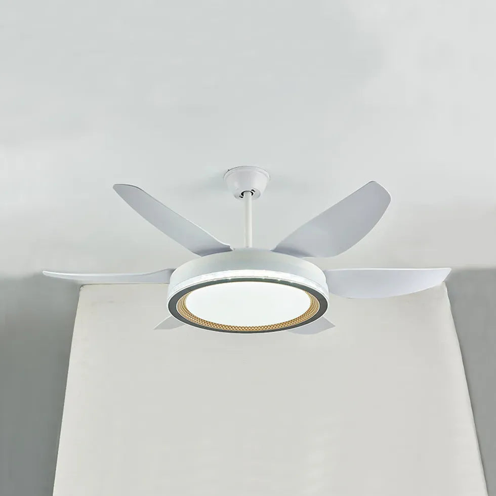 Ceiling Fan With Light For Study Room Haydn Metal Led Ip20