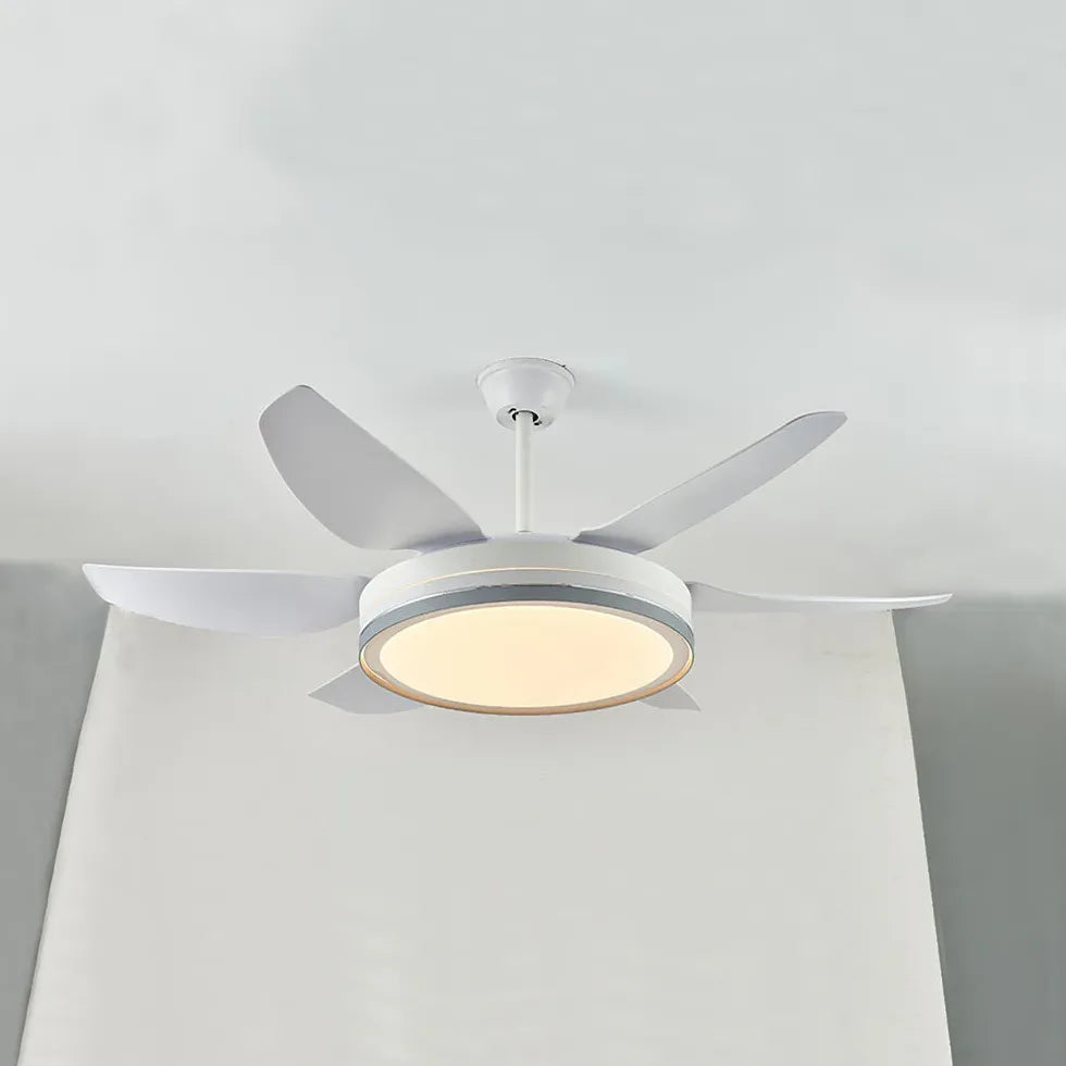 Black Ceiling Fan With Light For Study Room Haydn Metal Ip20 Dimmable