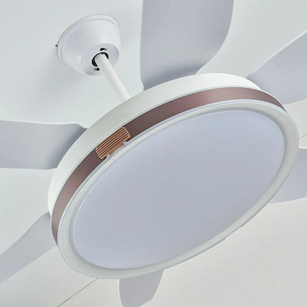 Ceiling Fan With Light For Study Room Haydn Metal Dimmable Ip20 Led