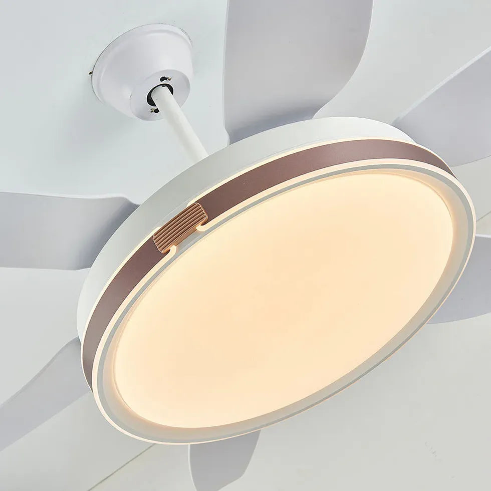 Ceiling Fan With Light For Study Room Haydn Metal Dimmable Ip20 Led