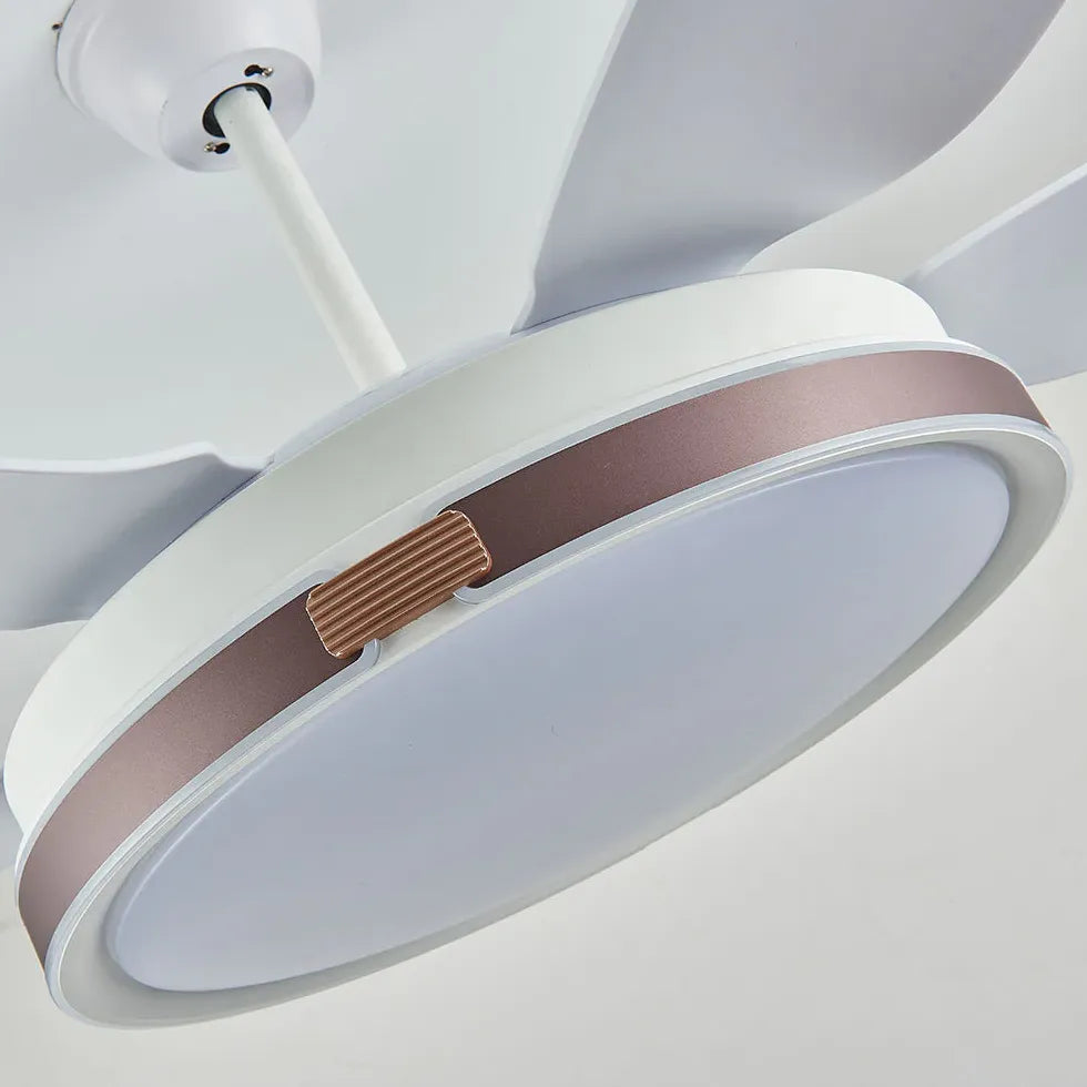 Ceiling Fan With Light For Study Room Haydn Metal Dimmable Ip20 Led