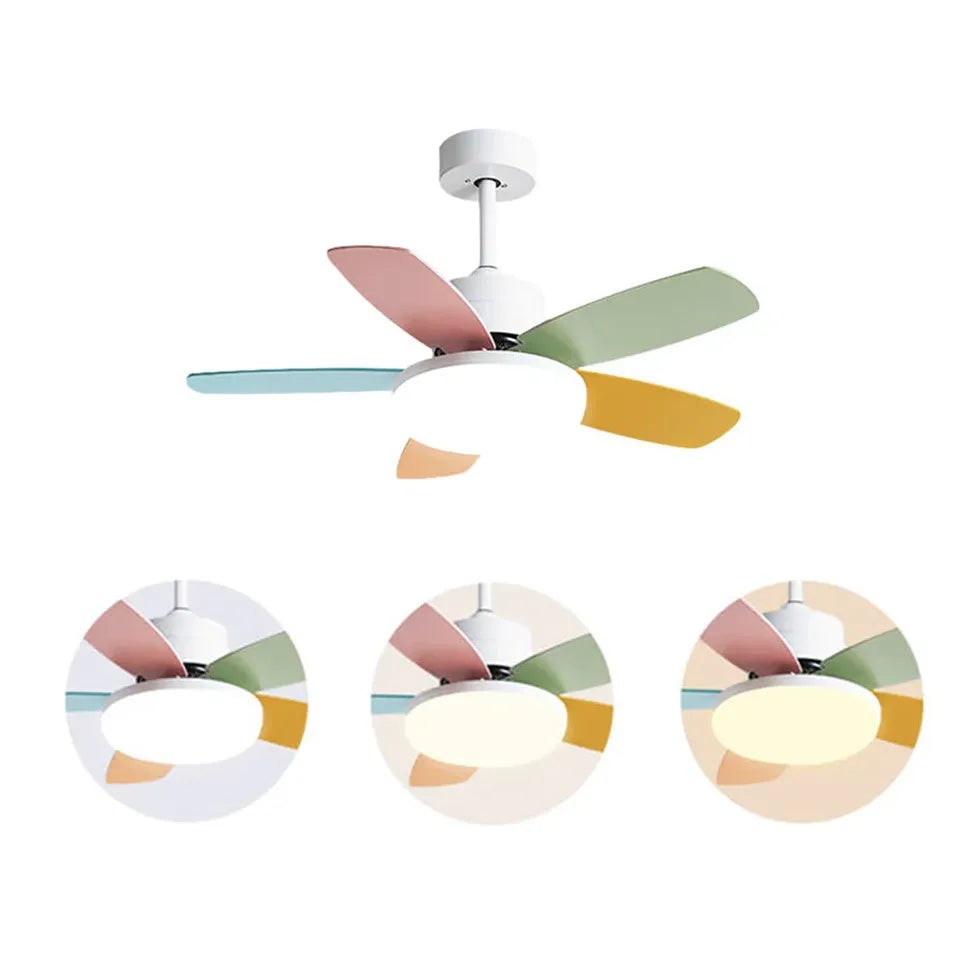 Ceiling Fan With Light For Study Room Morandi Metal & Abs Led