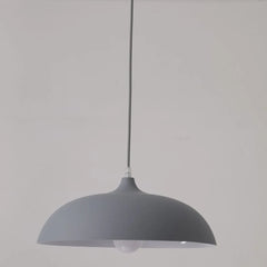 Light Single Pendant For Dining Room Morandi Metal