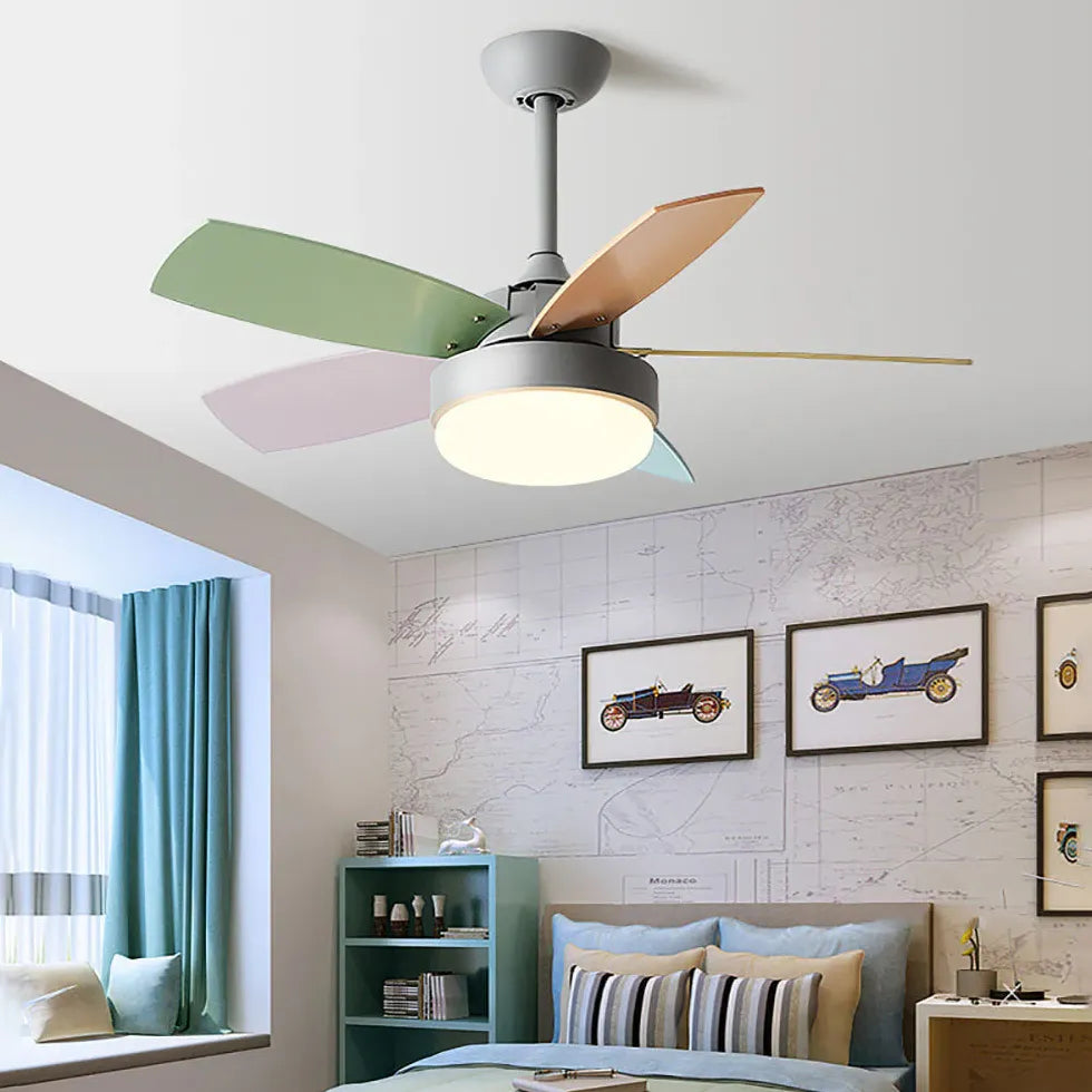 Ceiling Fan With Light For Study Room Morandi Metal