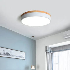 Led Ceiling Light For Kitchen Round Morandi Metal