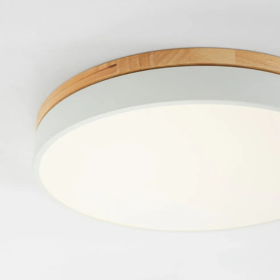 Led Ceiling Light For Kitchen Round Morandi Metal