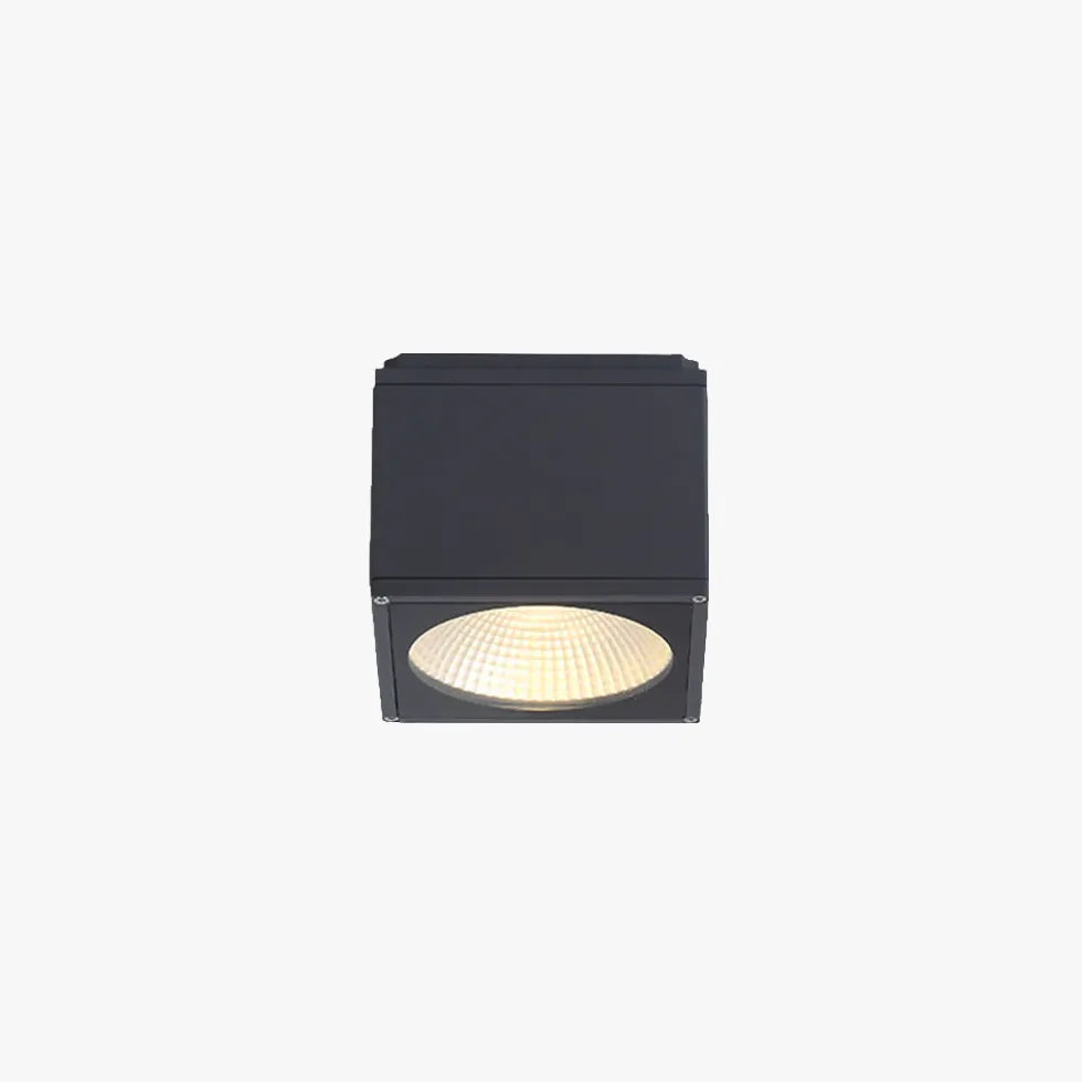 Black Flush Light Orr Metal & Glass Led Warm White