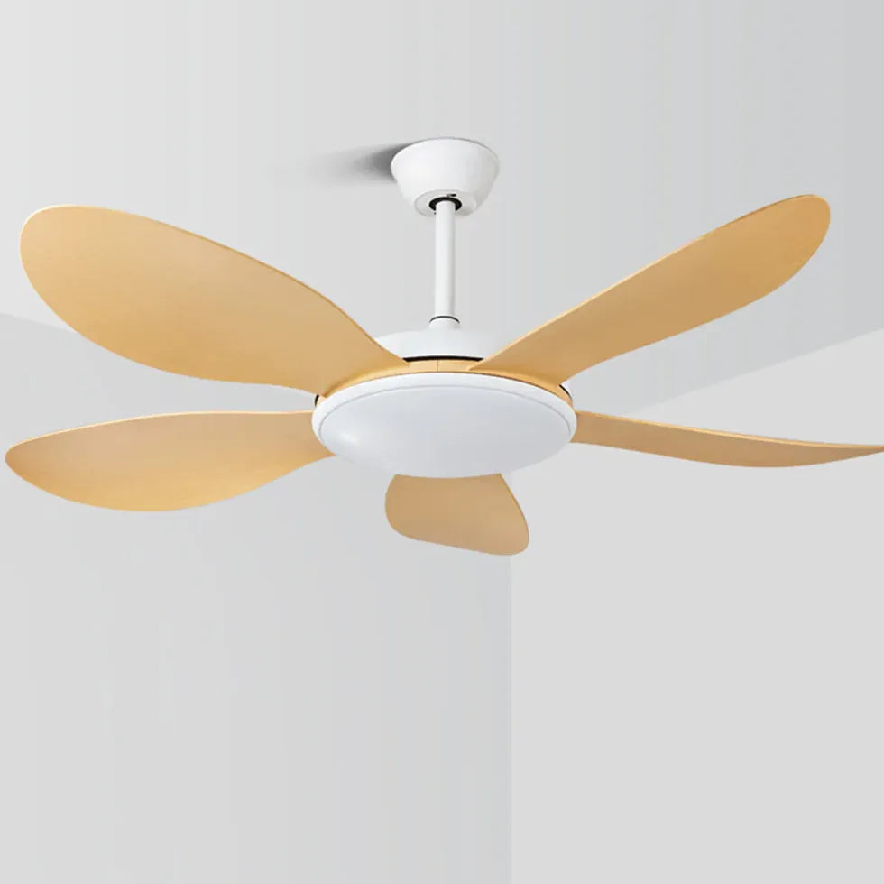 Ceiling Fan With Light For Study Room Ozawa Metal Dimmable