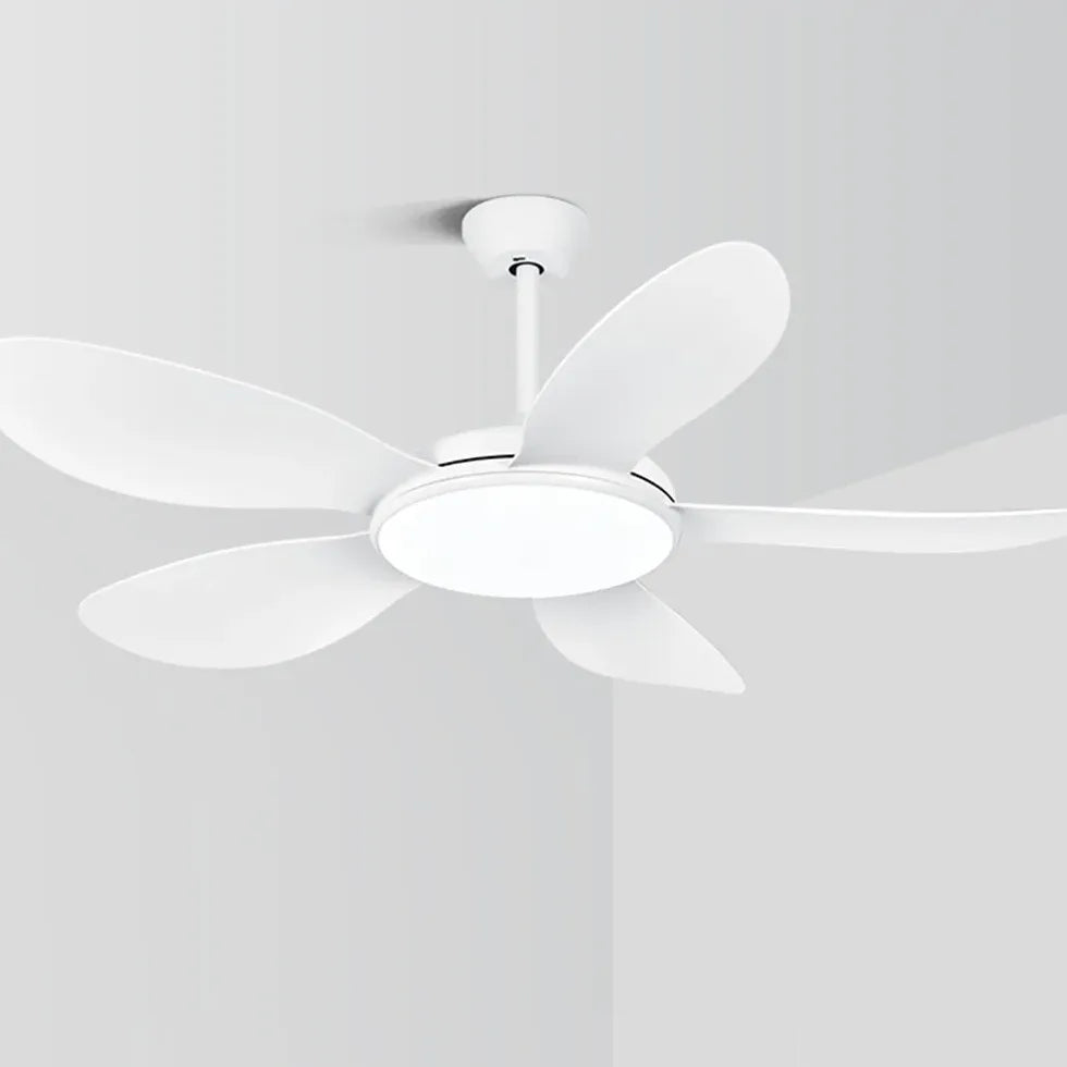 Ceiling Fan With Light For Study Room Ozawa Metal Dimmable