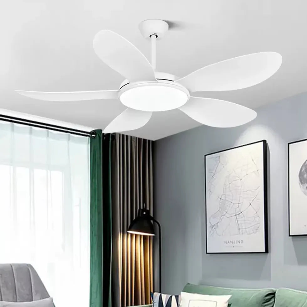 Ceiling Fan With Light For Study Room Ozawa Metal Dimmable