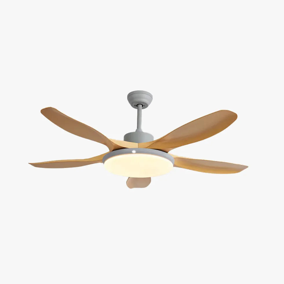 Ceiling Fan With Light For Study Room Ozawa Metal Ip20