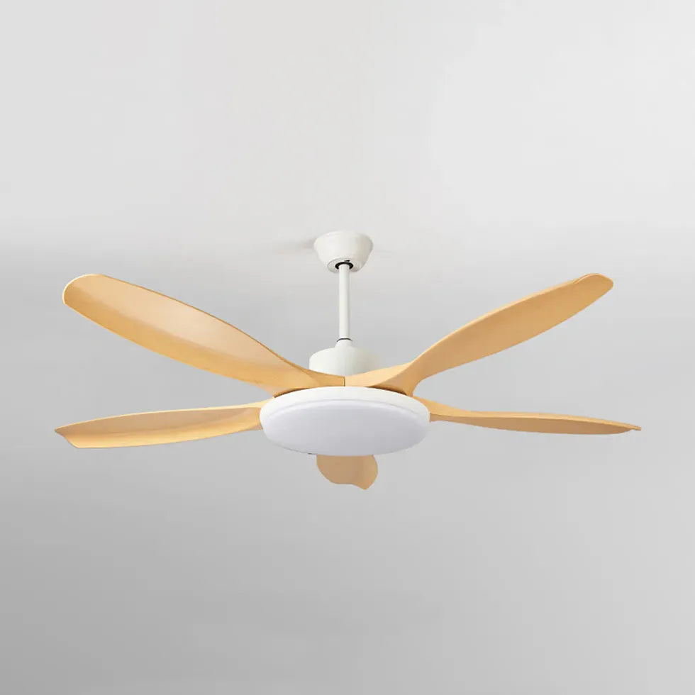 Ceiling Fan With Light For Study Room Ozawa Metal Ip20