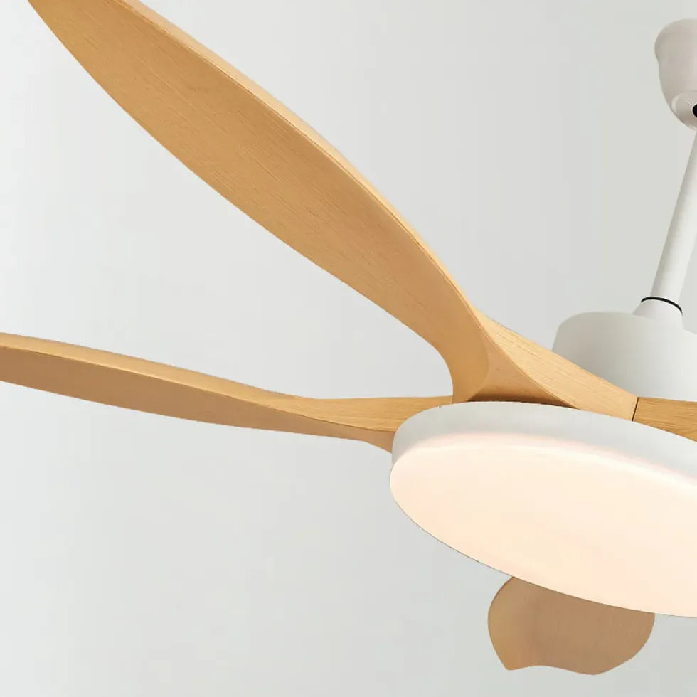 Ceiling Fan With Light For Study Room Ozawa Metal Ip20