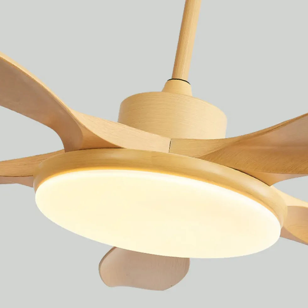 Ceiling Fan With Light For Study Room Ozawa Metal Ip20