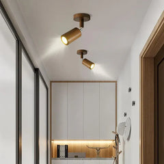 Spotlight For Bedroom Ozawa Metal Ip20